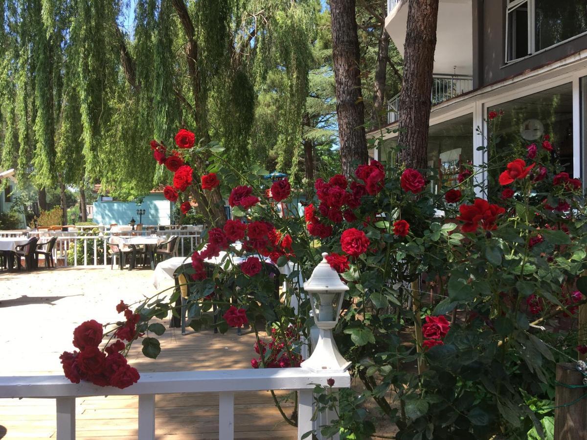 Shila Doert Mevsim Tatil Koyu Hotel Sile Exterior photo
