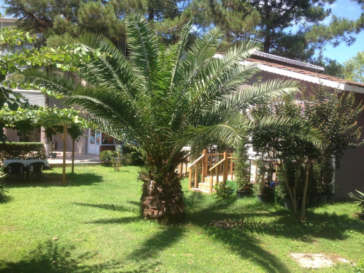 Shila Doert Mevsim Tatil Koyu Hotel Sile Exterior photo